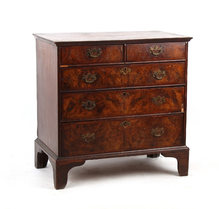 Walnut chest of Drawers